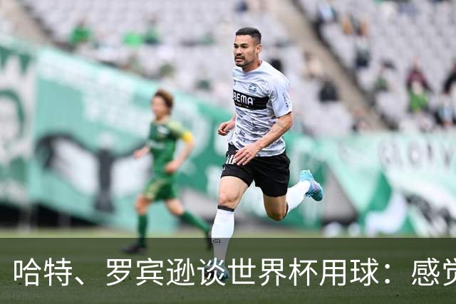 哈特、罗宾逊谈世界杯用球：感觉球员有点不适应，今年远射特别多